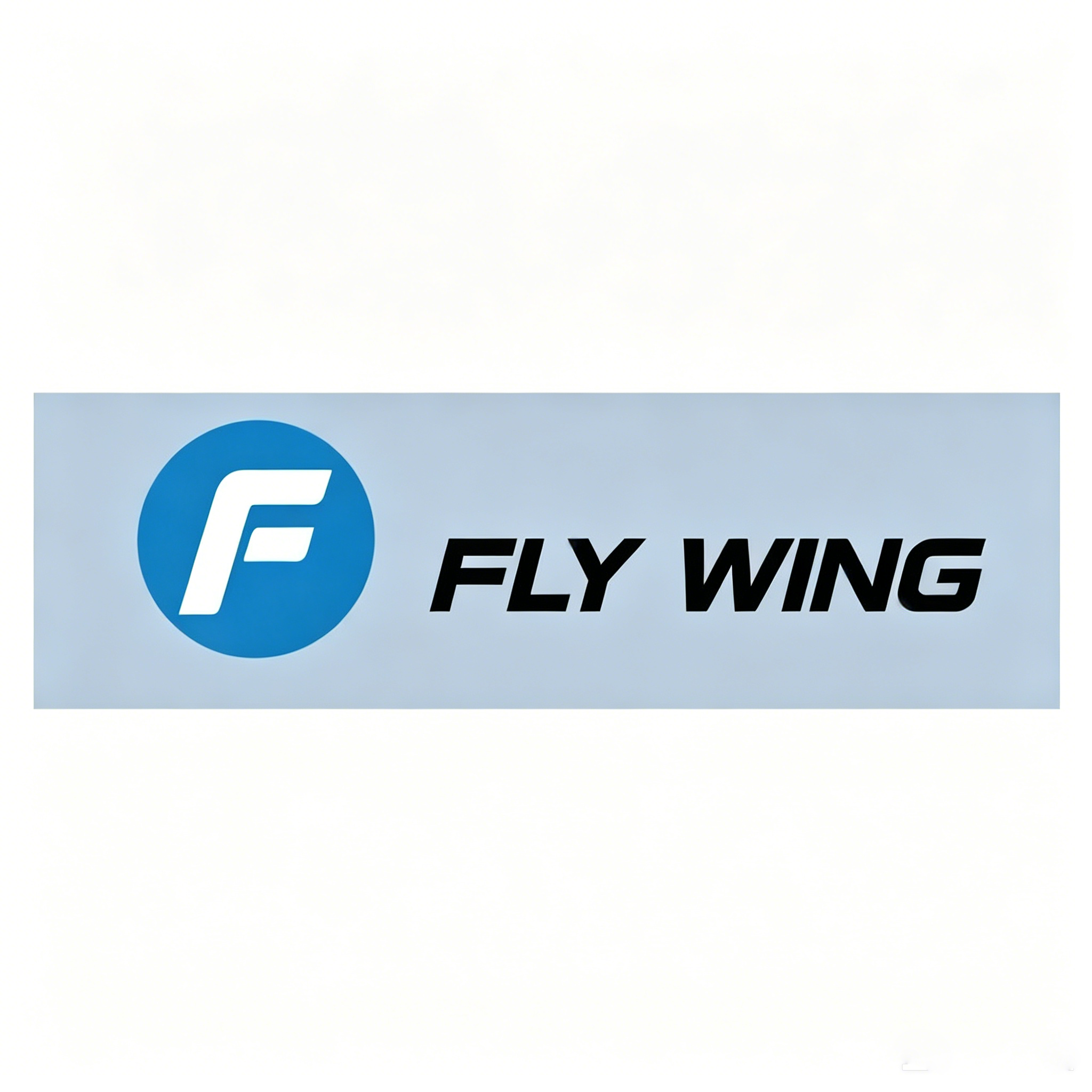 FLYWING