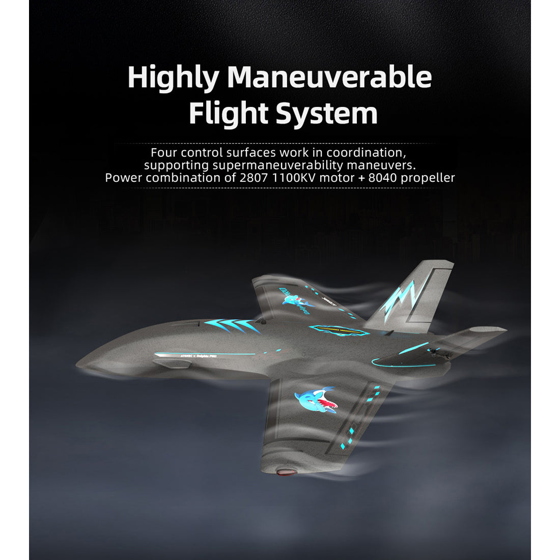 Dolphin Pro 800mm FPV固定翼機 フルセット｜TX12 MKII ELRS送信機＋RP1受信機付き