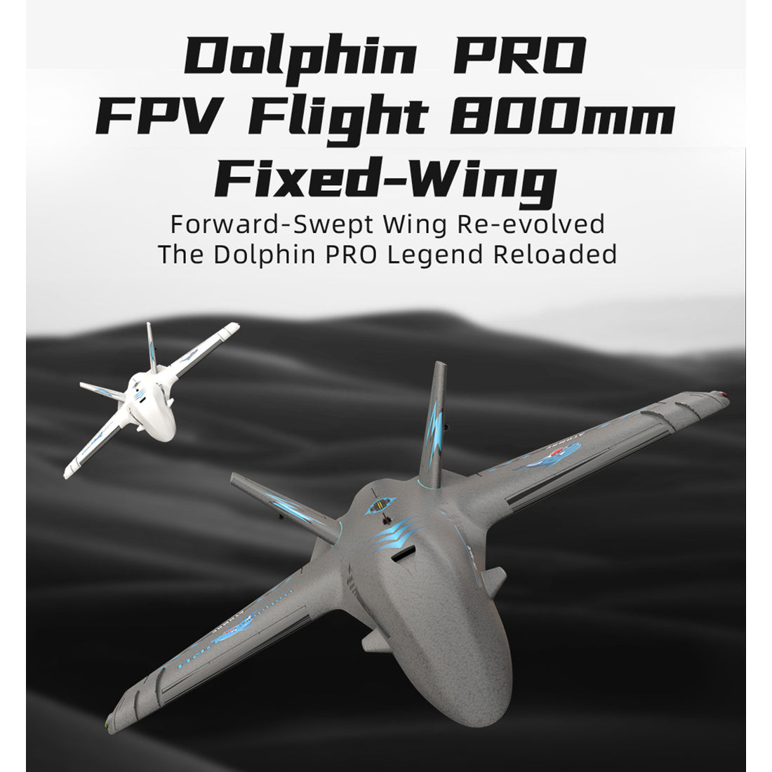 Dolphin Pro 800mm FPV固定翼機 フルセット｜TX12 MKII ELRS送信機＋RP1受信機付き