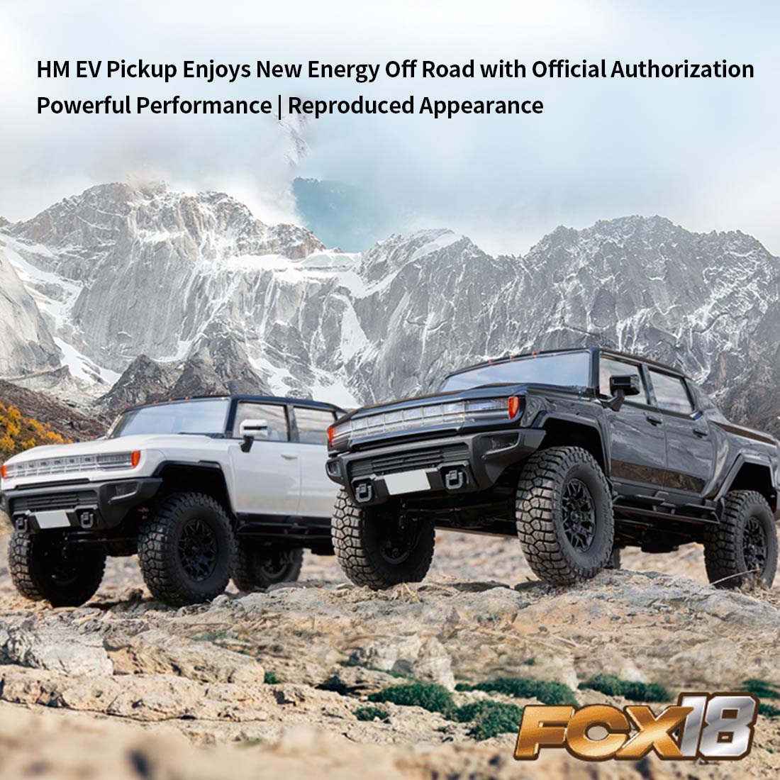 FMS 1/18 FCX18 2.4G RCクライミングオフロード車 EVシェル 2段変速 RTRバージョン