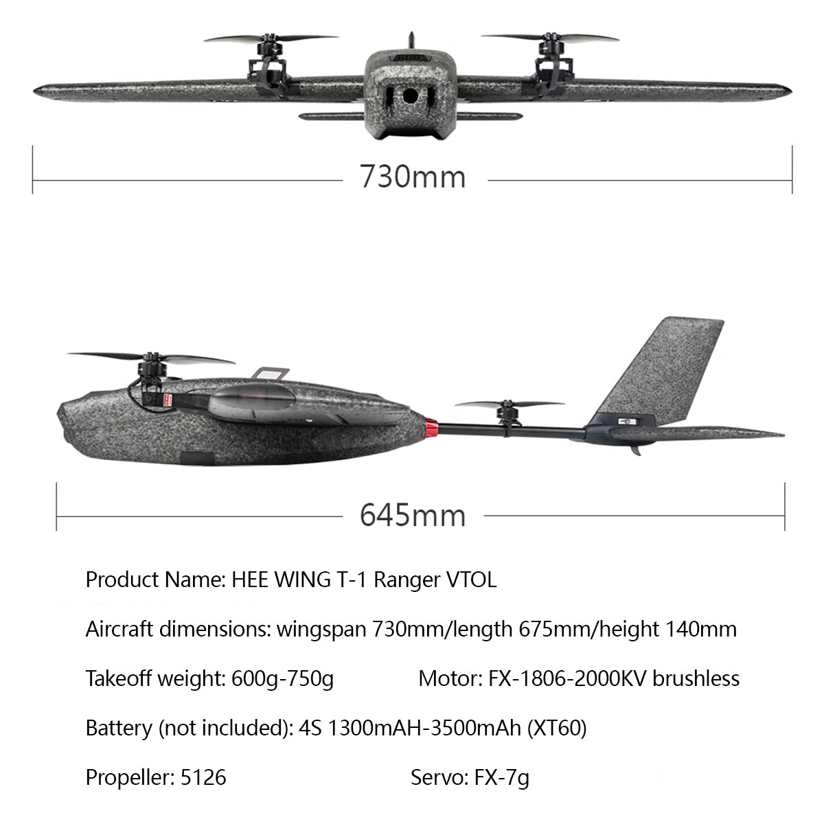 HEEWING Ranger T1 VTOL 2.4G EPP RC 航空機（FPV カメラ + 映像伝送モジュール付き RTF 版）