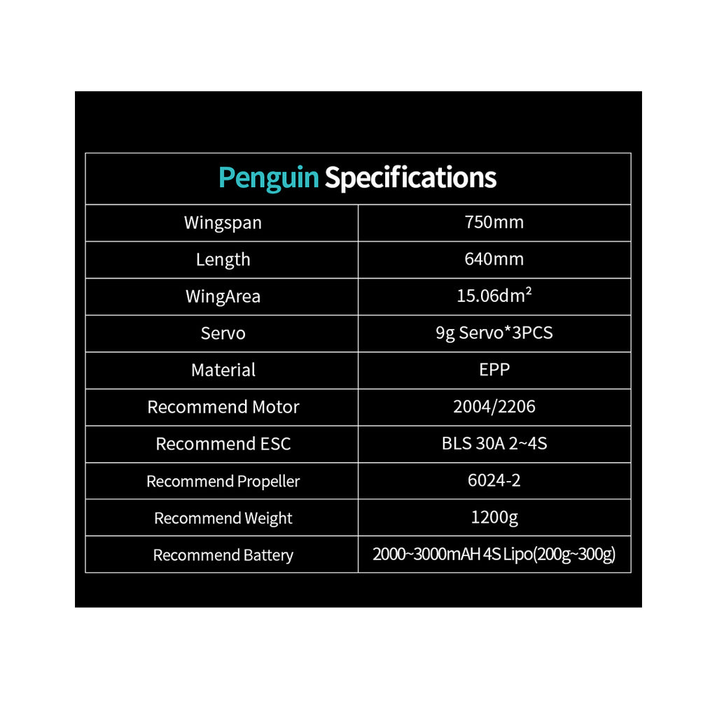 Penguine 750mm双発FPV固定翼機セット｜TX12 MKII ELRS送信機＋RP1受信機付き RC 飛行機
