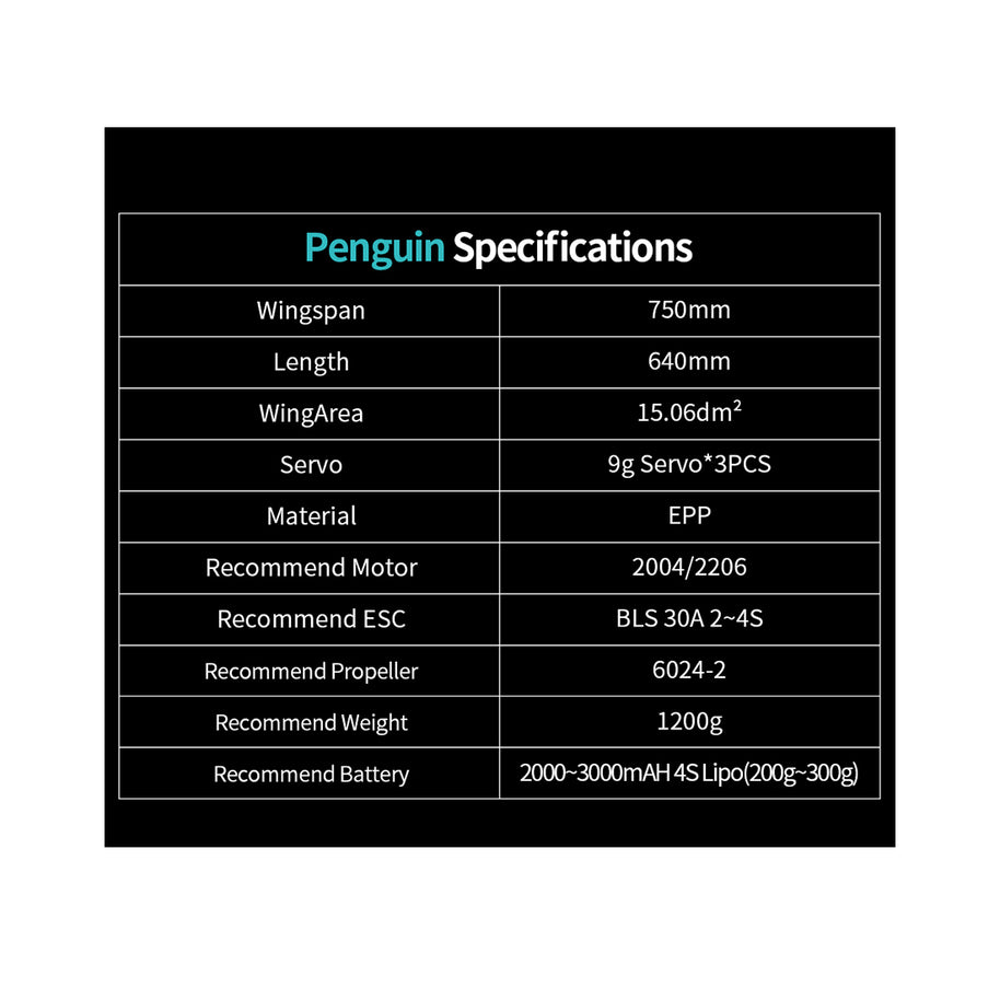 Penguine 750mm双発FPV固定翼機セット｜TX12 MKII ELRS送信機＋RP1受信機付き RC 飛行機