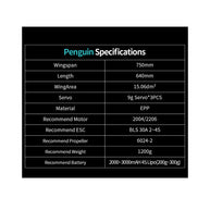 Penguine 750mm双発FPV固定翼機セット｜TX12 MKII ELRS送信機＋RP1受信機付き RC 飛行機