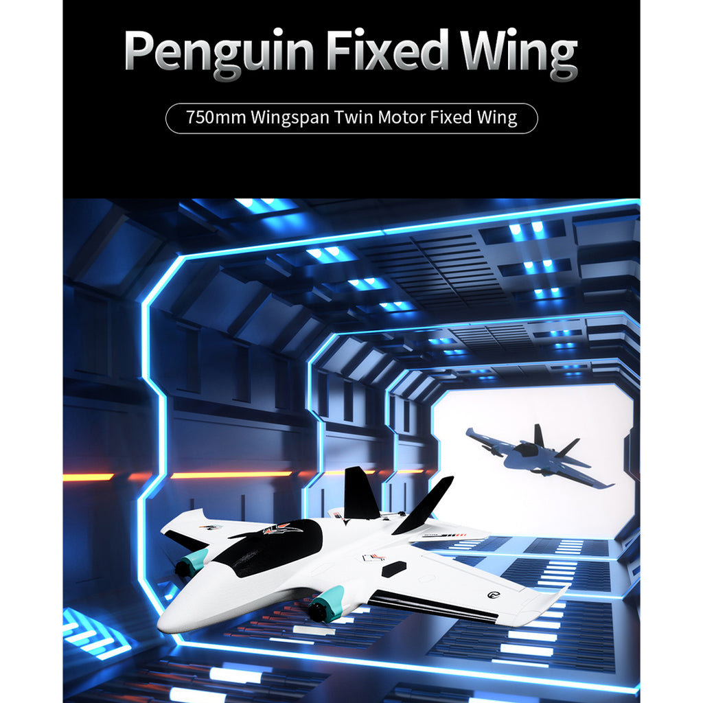 Penguine 750mm双発FPV固定翼機セット｜TX12 MKII ELRS送信機＋RP1受信機付き RC 飛行機