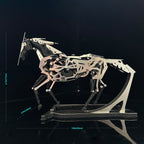 Punkbuild ソーラー駆動 機械馬 3D 金属 パズル 165パーツ DIY組立模型